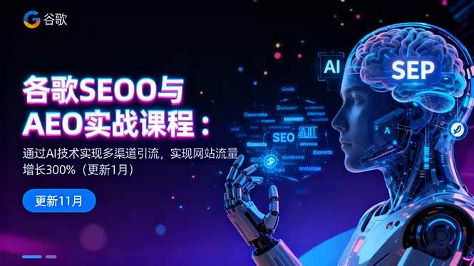 谷歌SEO与AEO实战课程：通过AI技术实现多渠道引流，实现网站流量增长300%-资源基地