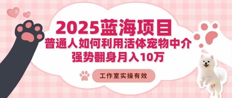 2025蓝海项目：普通人如何利用活体宠物中介，强势翻身月入10万-资源基地
