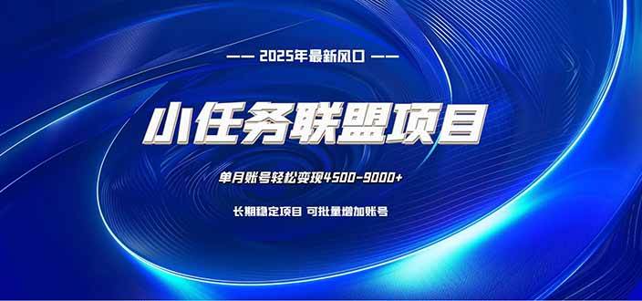 小任务联盟项目：一台电脑每天只需10分钟，轻松简单稳定-资源基地