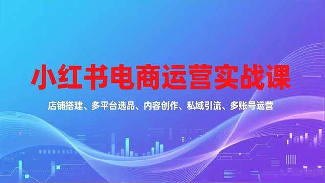 小红书电商运营实战课,店铺搭建、多平台选品、内容创作、私域引流、多账号运营等玩法-资源基地