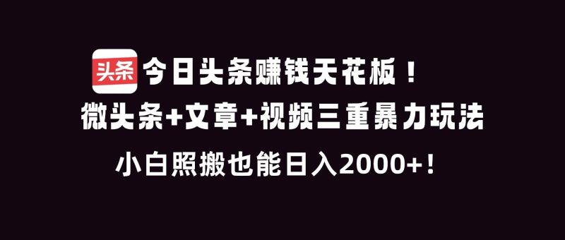 今日头条赚钱天花板！微头条+文章+视频三重暴利玩法，小白照搬也能日人2000+-资源基地