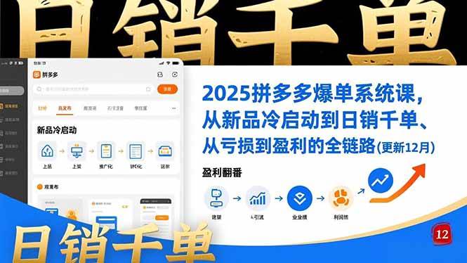 2025拼多多爆单系统课，从新品冷启动到日销千单、从亏损到盈利的全链路（更新12月）-资源基地