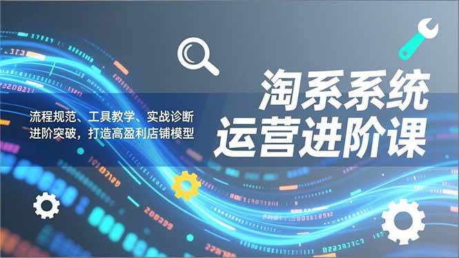 淘系系统运营进阶课2.0，流程规范、工具教学、实战诊断，进阶突破，打造高盈利店铺模型-资源基地