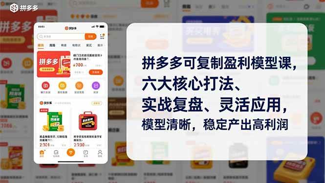 拼多多可复制盈利模型课，六大核心打法、实战复盘、灵活应用，模型清晰，稳定产出高利润-资源基地