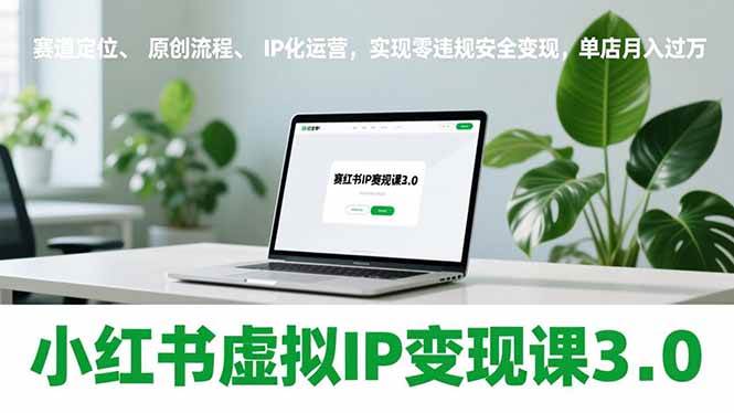 小红书虚拟IP变现课3.0，赛道定位、原创流程、IP化运营，实现零违规安全变现，单店月入过万-资源基地