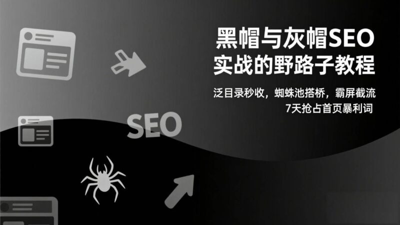 黑帽与灰帽SEO实战的野路子教程：泛目录秒收，蜘蛛池搭桥，霸屏截流，7天抢占首页暴利词-资源基地