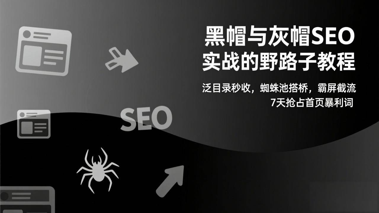 图片[1]-黑帽与灰帽SEO实战的野路子教程：泛目录秒收，蜘蛛池搭桥，霸屏截流，7天抢占首页暴利词-资源基地