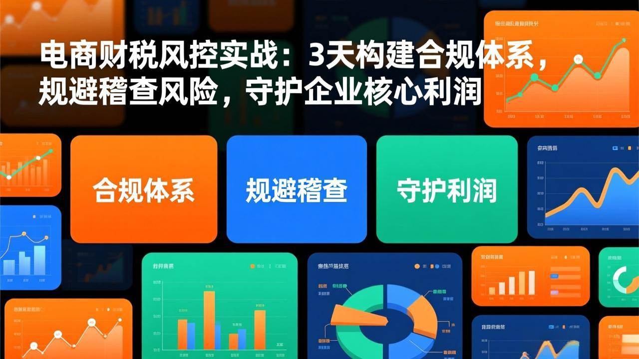 图片[1]-电商财税风控实战：3天构建合规体系，规避稽查风险，守护企业核心利润-资源基地