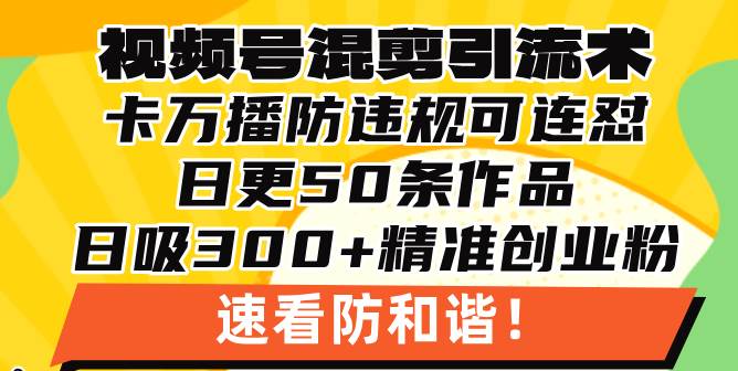 视频号混剪引流技术,500万播放引流17000创业粉,操作简单当天学会-资源基地