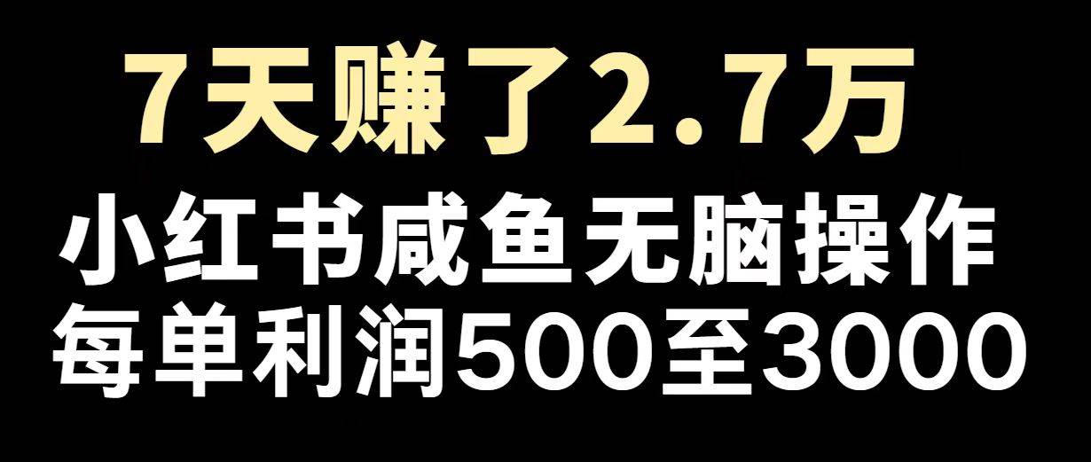 最赚钱项目之一，2025爆火，逆风翻盘！-资源基地