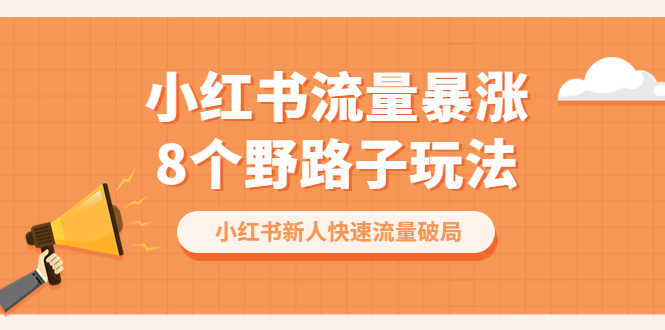 小红书流量-暴涨8个野路子玩法:小红书新人快速流量破局(8节课)-资源基地