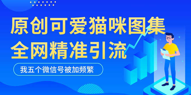 黑科技纯原创可爱猫咪图片，全网精准引流，实操5个VX号被加频繁-资源基地