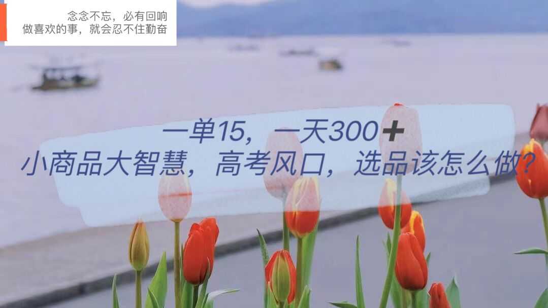 一单15,一天300+,小商品大智慧,高考风口,选品该怎么布局-资源基地