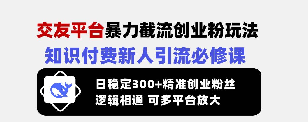 交友平台暴力截流创业粉玩法，知识付费新人引流必修课，日稳定300+精准…-资源基地