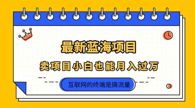 2025年最新蓝海项目,卖项目小白也能月入过万-资源基地