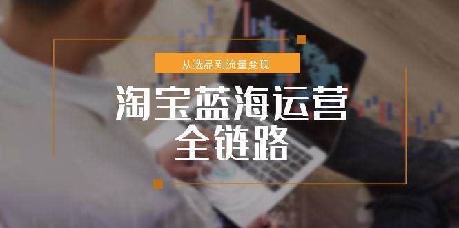 淘宝蓝海运营全链路，从选品到流量变现，小类目突围完整方案-资源基地