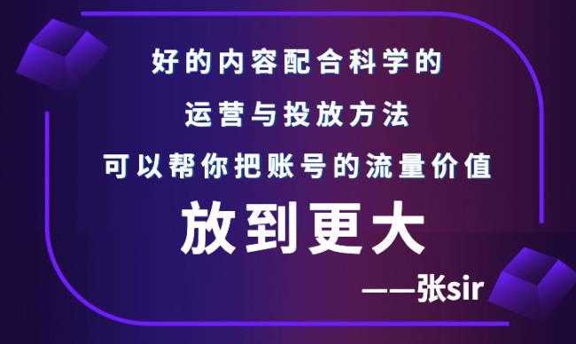 张sir账号流量增长课,告别海王流量,让你的流量更精准-资源基地