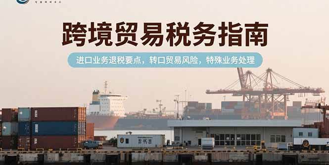 跨境贸易税务指南，进口业务退税要点，转口贸易风险，特殊业务处理-资源基地