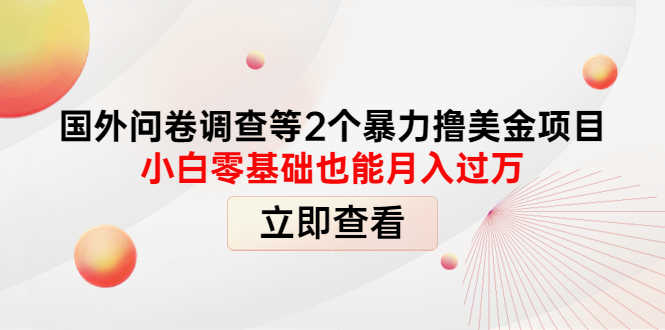 国外问卷调查等2个暴力撸美金项目，小白零基础也能月入过万-资源基地