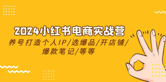 2024小红书电商实战营,养号打造IP/选爆品/开店铺/爆款笔记/等等(24节)-资源基地