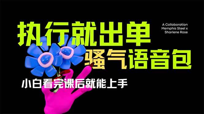 爆火全网的开车导航骚气语音包,只要执行就出单,小白看完课程就能实操…-资源基地