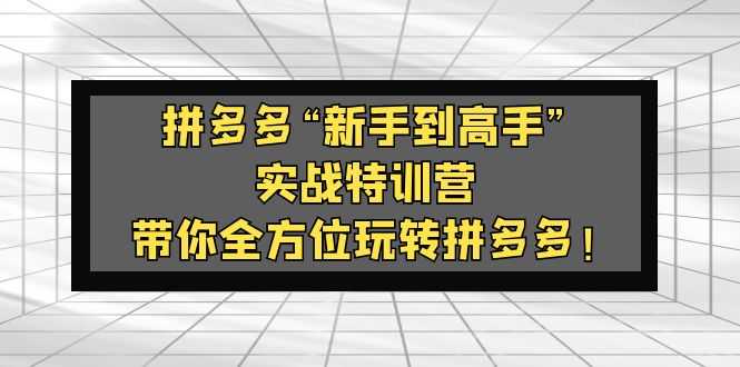 拼多多“新手到高手”实战特训营：带你全方位玩转拼多多！-资源基地