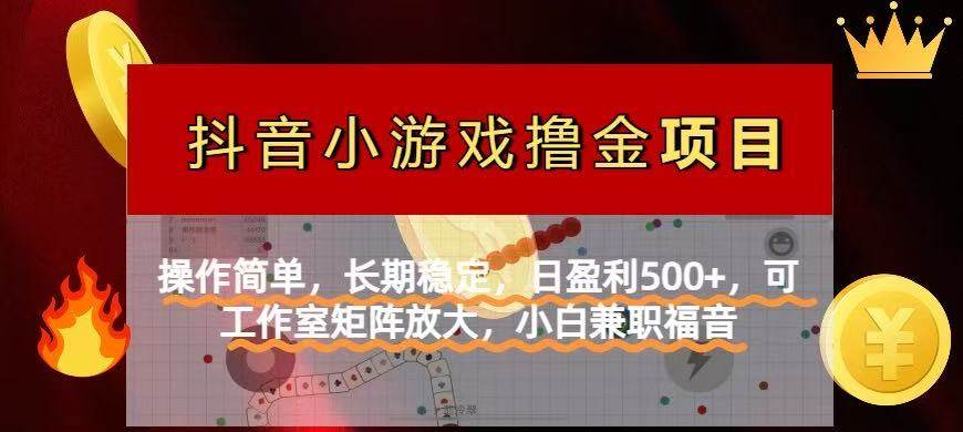 【抖音小游戏发行人计划项目】操作简单,长期稳定,日盈利500+,可工作…-资源基地