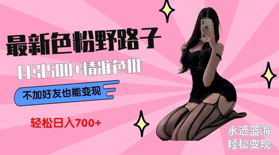 最新色粉变现野路子,日引500+老色批 可不加好友直接变现 小白轻松日入700+-资源基地