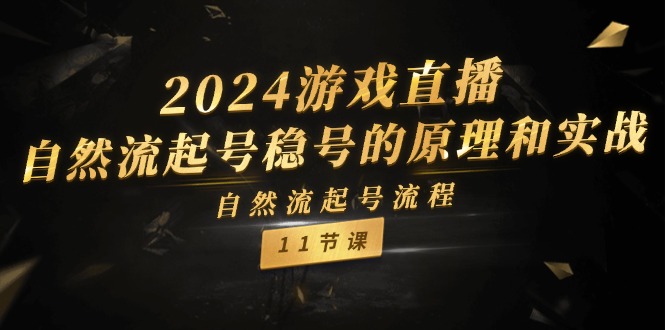 2024游戏直播-自然流起号稳号的原理和实战，自然流起号流程（11节）-资源基地