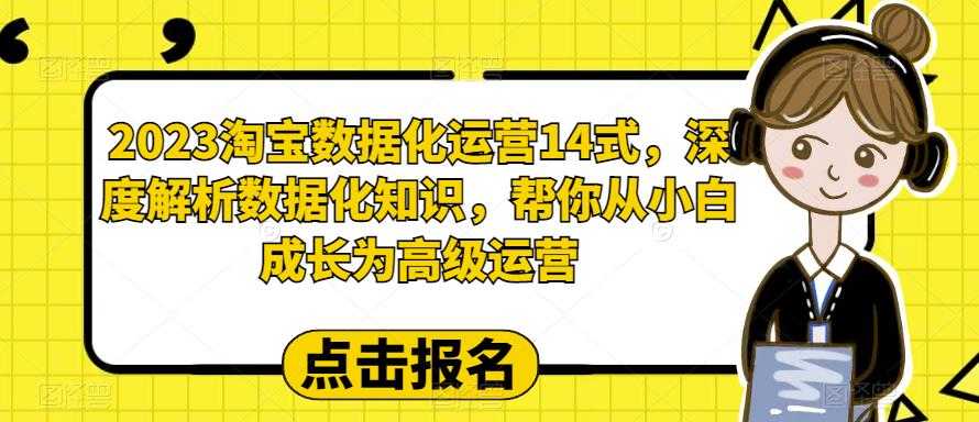 2023淘宝数据化-运营 14式,深度解析数据化知识,帮你从小白成长为高级运营-资源基地