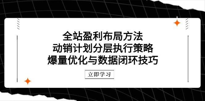 全站盈利布局方法：动销计划分层执行策略，爆量优化与数据闭环技巧-资源基地