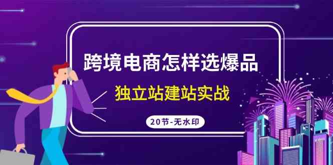 跨境电商怎样选爆品，独立站建站实战（20节高清无水印课）-资源基地