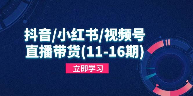 抖音/小红书/视频号/直播带货(11-16期)，快速掌握平台规则，打造爆款内容-资源基地