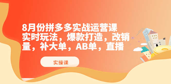 8月份拼多多实战运营课，实时玩法，爆款打造，改销量，补大单，AB单，直播-资源基地