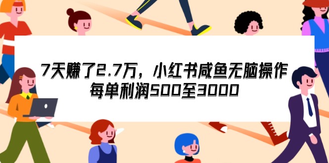 7天收了2.7万,小红书咸鱼无脑操作,每单利润500至3000-资源基地