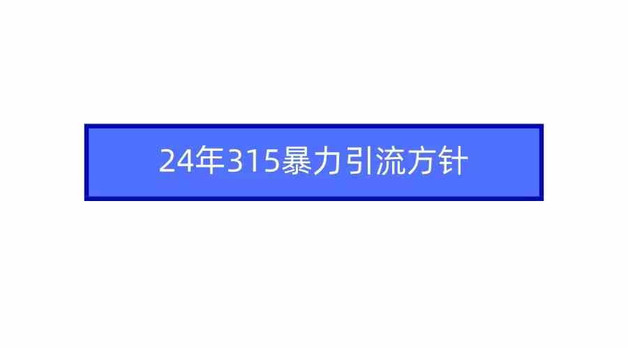2024年315暴力引流方针-资源基地