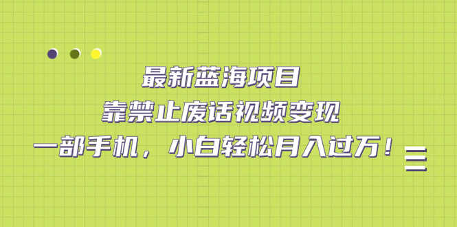 最新蓝海项目，靠禁止废话视频变现，一部手机，小白轻松月入过万！-资源基地