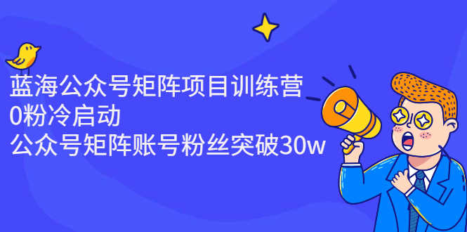 蓝海公众号矩阵项目训练营，0粉冷启动，公众号矩阵账号粉丝突破30w-资源基地