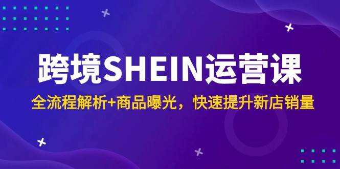 跨境SHEIN运营课，全流程解析+商品曝光，快速提升新店销量-资源基地