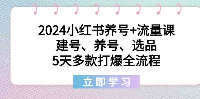 2024小红书养号+流量课：建号、养号、选品，5天多款打爆全流程-资源基地