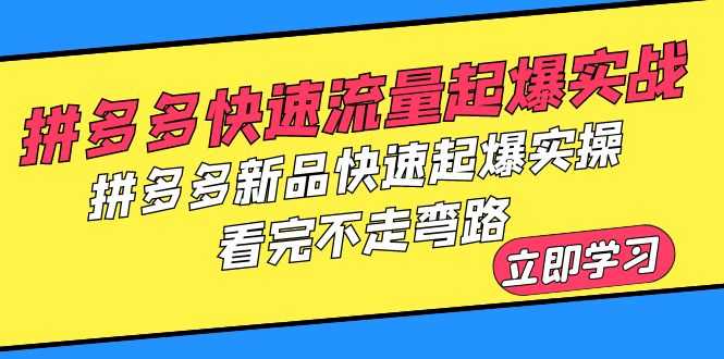 拼多多-快速流量起爆实战，拼多多新品快速起爆实操，看完不走弯路-资源基地