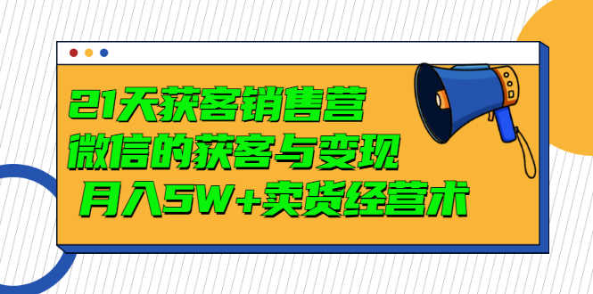 21天获客销售营,带你微信的获客与变现 月入5W+卖货经营术-资源基地