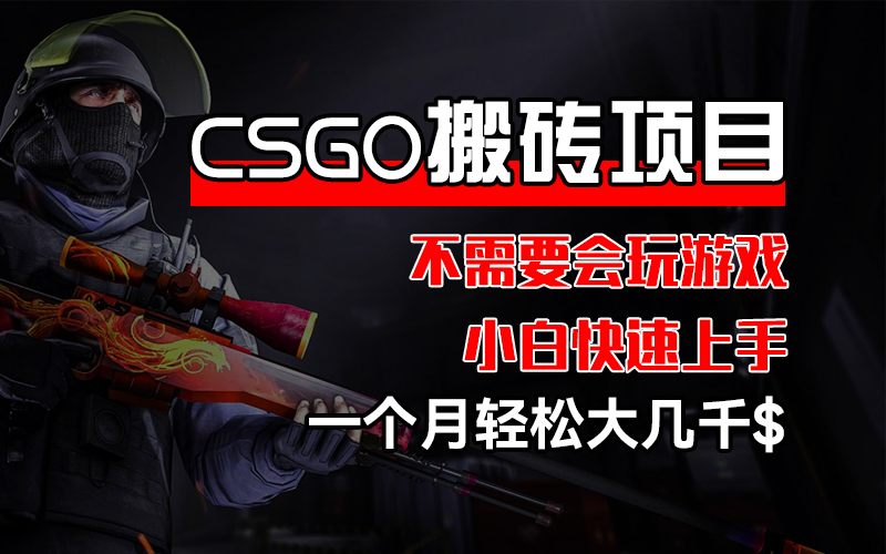 CSGO 装备搬砖项目，操作简单，不需要会玩游戏，小白也能快速上手，一…-资源基地