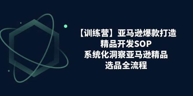 【训练营】亚马逊爆款打造之精品开发SOP，系统化洞察亚马逊精品选品全流程-资源基地