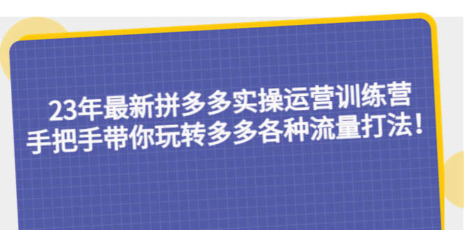 23年最新拼多多实操运营训练营:手把手带你玩转多多各种流量打法!-资源基地