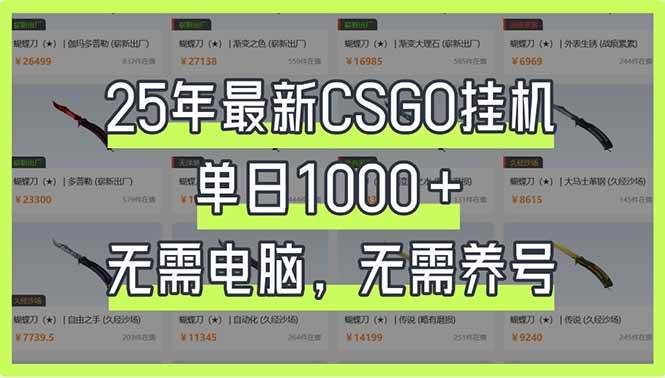 25年最新CSGO挂机系统，单日1000+，无需电脑，无需养号，0基础可上手-资源基地