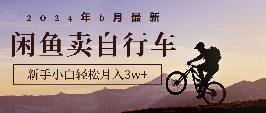 2024年6月最新闲鱼卖自行车，新手小白轻松月入3w+项目-资源基地