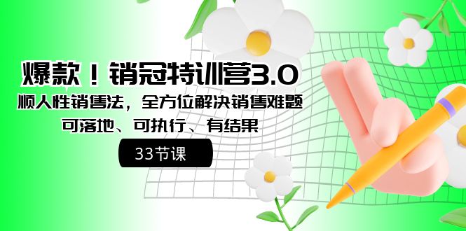 爆款!销冠特训营3.0之顺人性销售法,全方位解决销售难题、可落地、可执…-资源基地