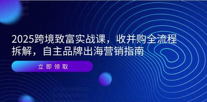 2025跨境致富实战课，收并购全流程拆解，自主品牌出海营销指南-资源基地