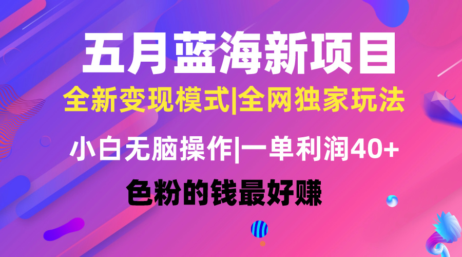 五月蓝海项目全新玩法，小白无脑操作，一天几分钟，矩阵操作，月入4万+-资源基地